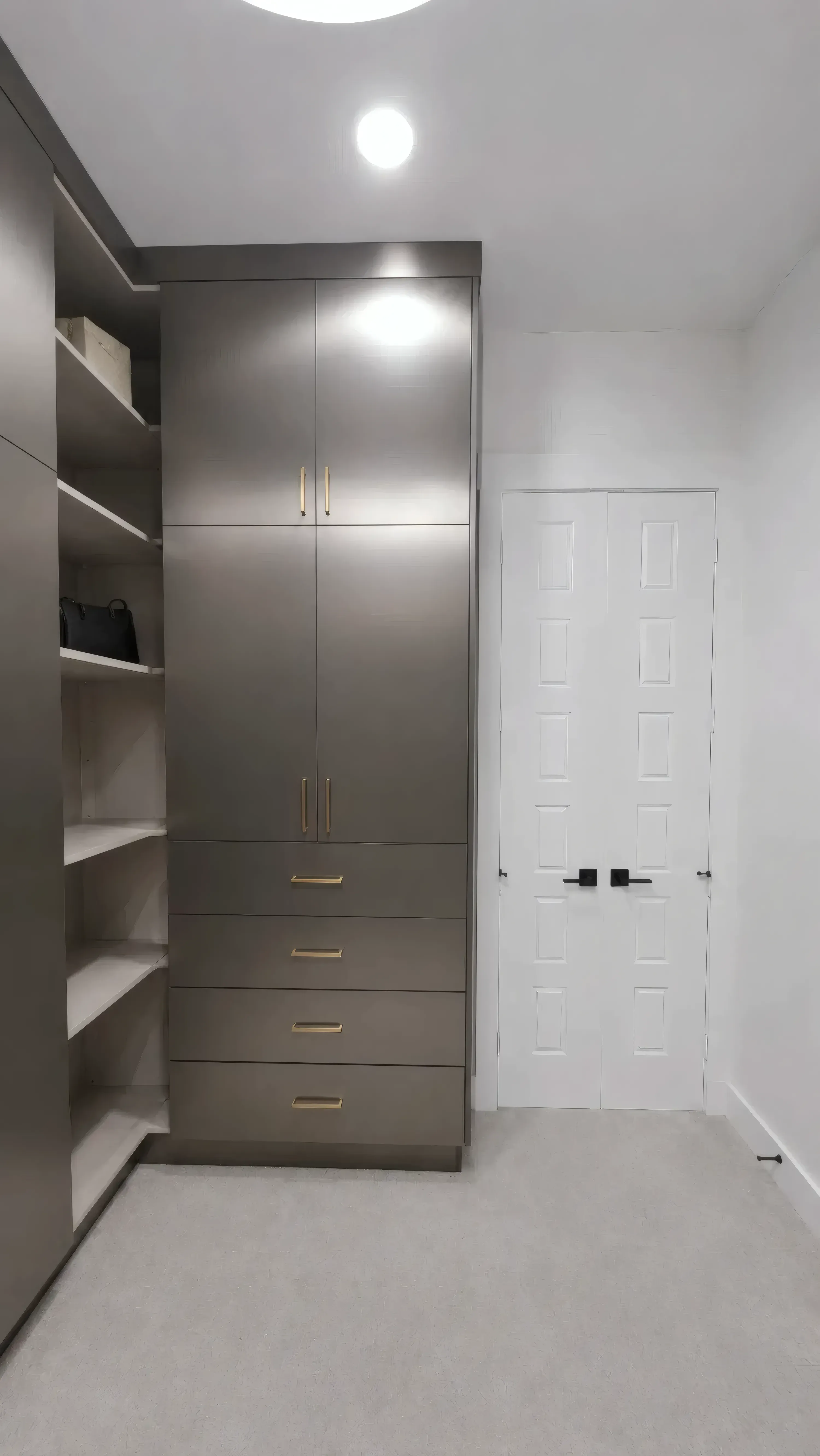 Picasso Inox Walk-In Closet, view 2
