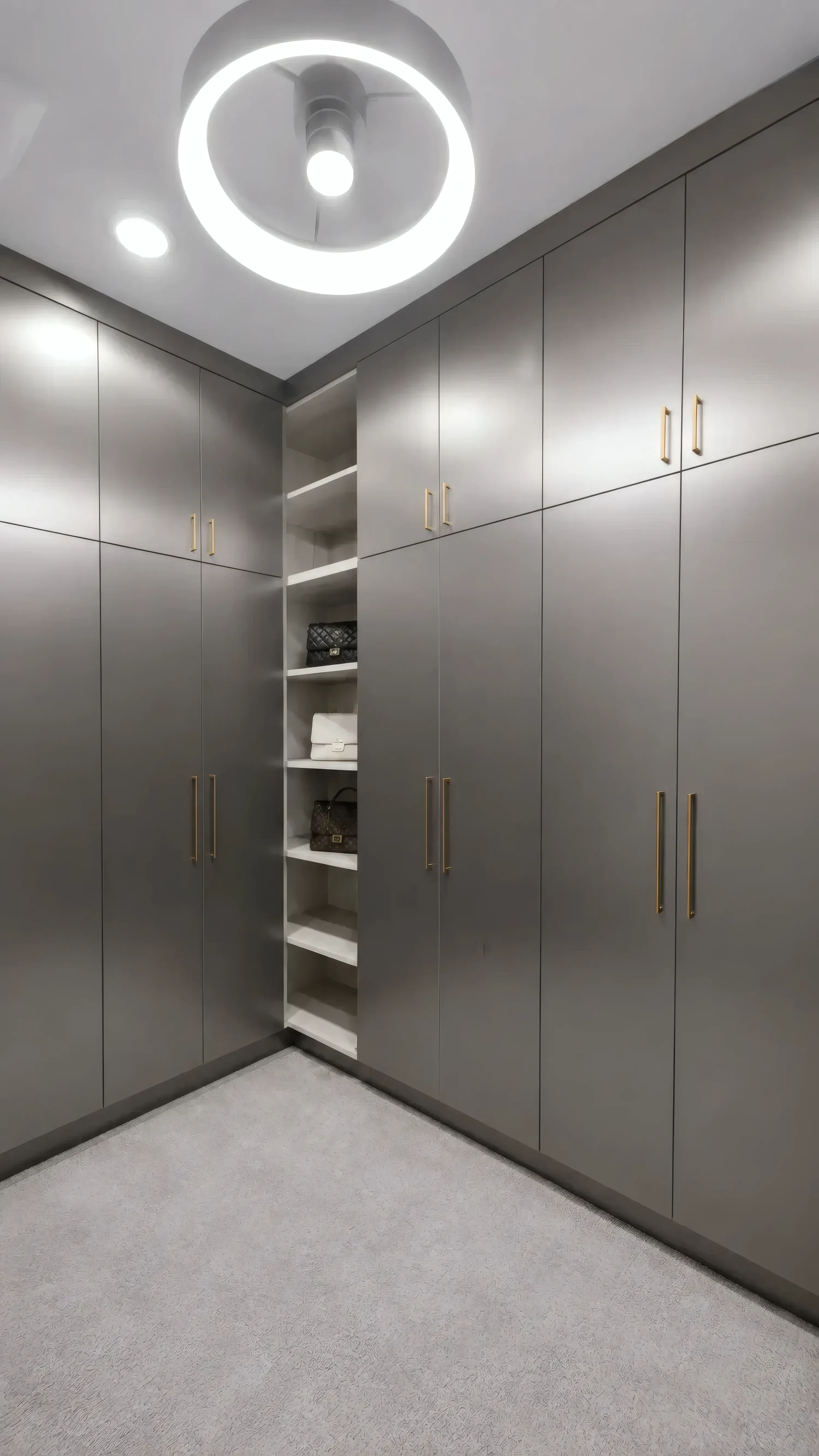 Picasso Inox Walk-In Closet, view 4
